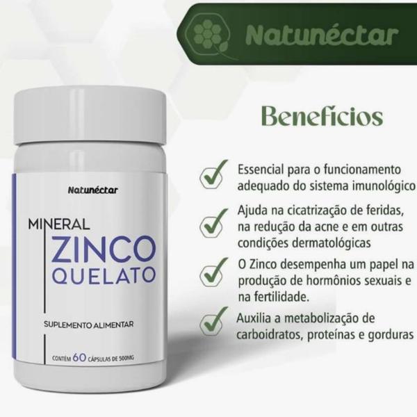 Kit 3 Potes Zinco Quelato Suplemento Alimentar Natura Puro Original 29,59mg Ultra Concentrado Alto Teor 180 Cápsulas Natunéctar Imagem de Kit 3 Potes Zinco Quelato Suplemento Alimentar Natura Puro Original 29,59mg Ultra Concentrado Alto Teor 180 Cápsulas Natunéctar