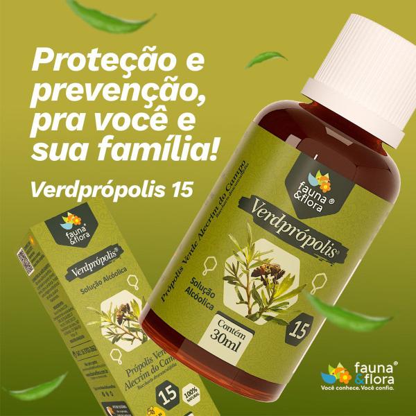 Imagem de Kit 3 Própolis Verde Puro Com Álcool 15% Extrato Seco Oferta