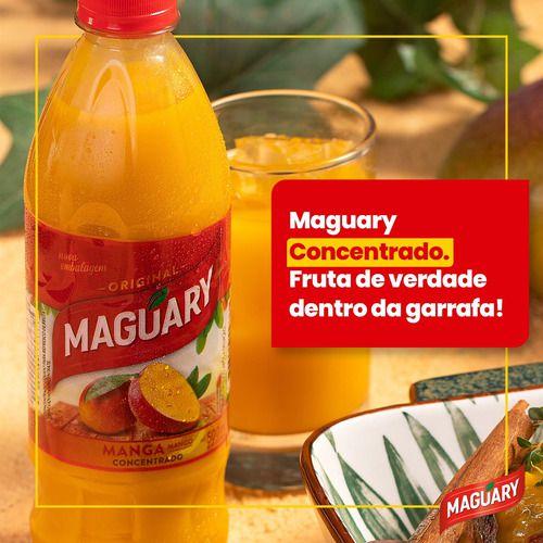 Imagem de Kit 3 Suco Concentrado De Laranja Maguary 500ml