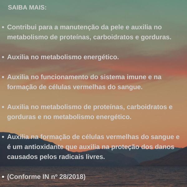 Imagem de Kit 3 Suplemento De Vitaminas Complexo B Concentrado,  100 Comprimidos - Arte Nativa