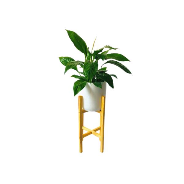 Imagem de Kit 3 Suporte Com Vaso De Plantas Em Madeira Chão Decorativo