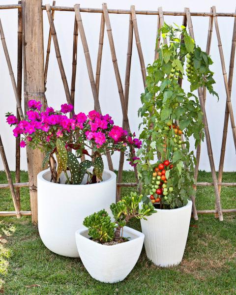 Imagem de Kit 3 Vaso Decoração Planta Polietileno Variados Jardim CD50