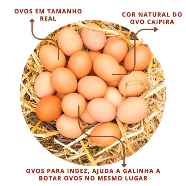 Imagem de Kit 36 Ovos Falsos De Plástico Para Indez Galinha Poedeira