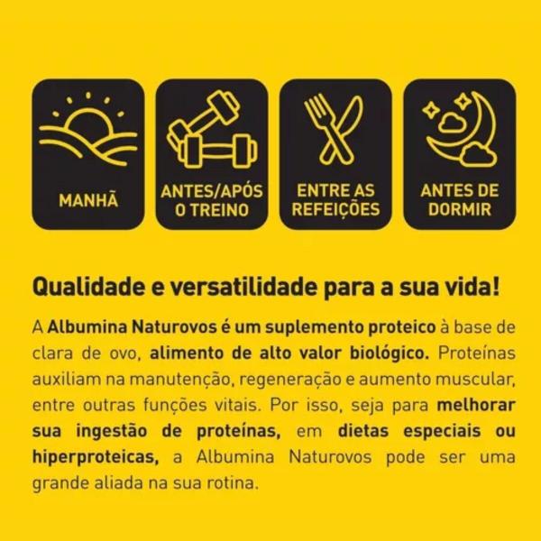 Imagem de Kit 3x Albumina Naturovos 1kg Sabor Natural