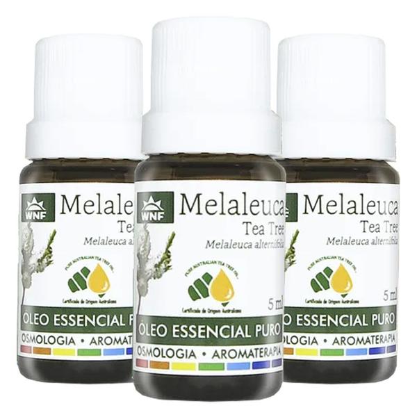 Imagem de Kit 3x Óleo Essencial Melaleuca (Tea Tree) 5ml - Wnf