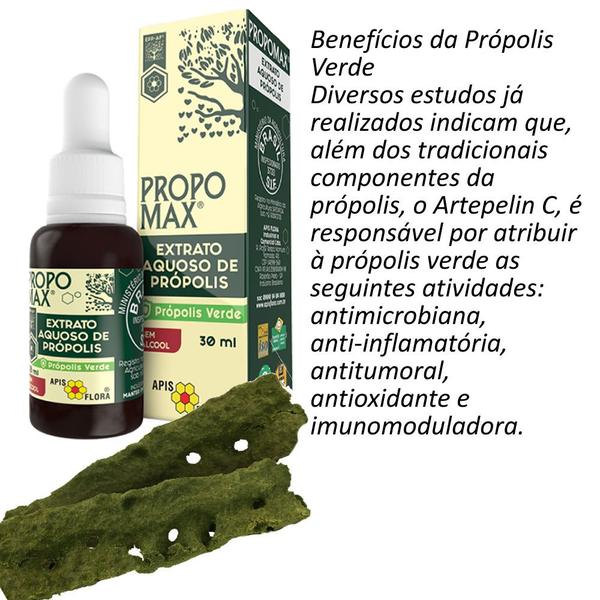 Imagem de Kit 3x Própolis Extrato Aquoso Propomax Apis Flora Imunidade