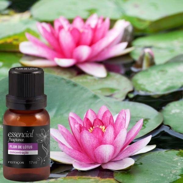 Imagem de Kit 4 Óleo Essencial Natural Difusor Flor Lotus Concentração