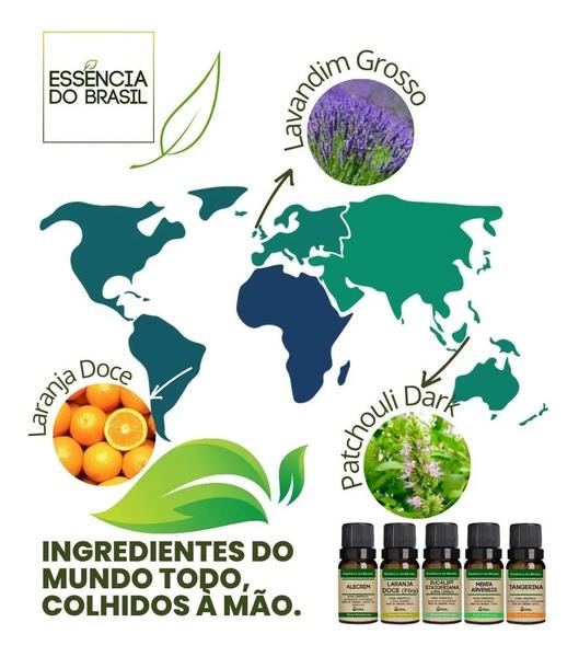 Imagem de Kit 4 Óleos Essenciais de Lavanda 10ml - Puros e Naturais