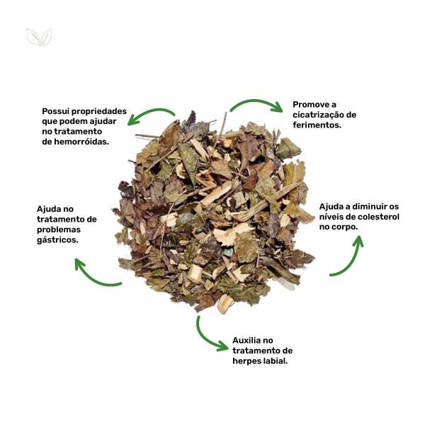 Imagem de Kit 4 Pct Chá De Guaçatonga - Casearia Sylvestris - 100G