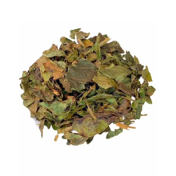 Kit 4 pct Chá de Guaco - Mikania Glomerata Sprengel - 100g - Rocha Saúde Imagem de Kit 4 pct Chá de Guaco - Mikania Glomerata Sprengel - 100g