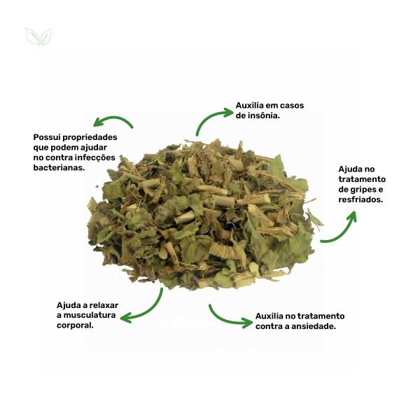 Kit 4 pct Chá de Melissa Lippia - Lippia geminata H.B.K. - 100g - Rocha Saúde Imagem de Kit 4 pct Chá de Melissa Lippia - Lippia geminata H.B.K. - 100g