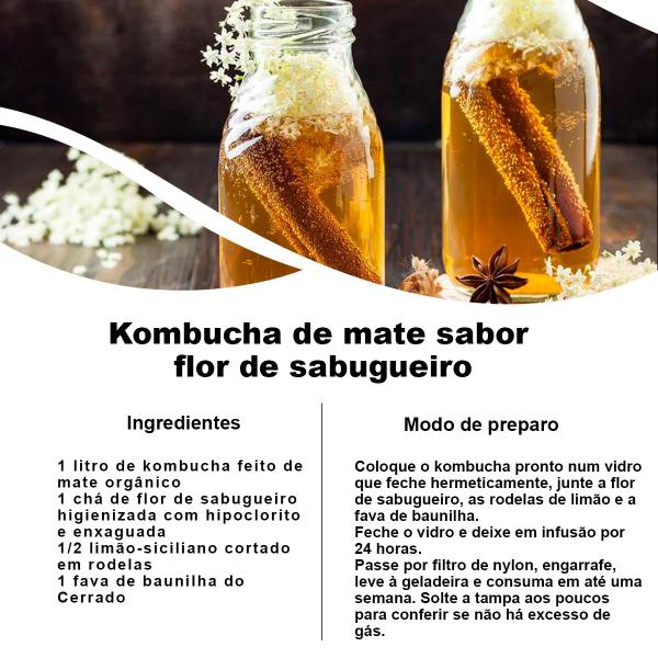 Kit 4 pct Chá de Sabugueiro - Sambucus Nigra - L. 50g cada - Rocha Saúde Imagem de Kit 4 pct Chá de Sabugueiro - Sambucus Nigra - L. 50g cada