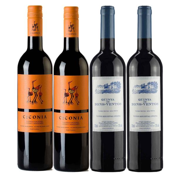 Imagem de Kit 4 Vinhos Portugueses Ciconia Alentejo + Quinta de Bons Ventos