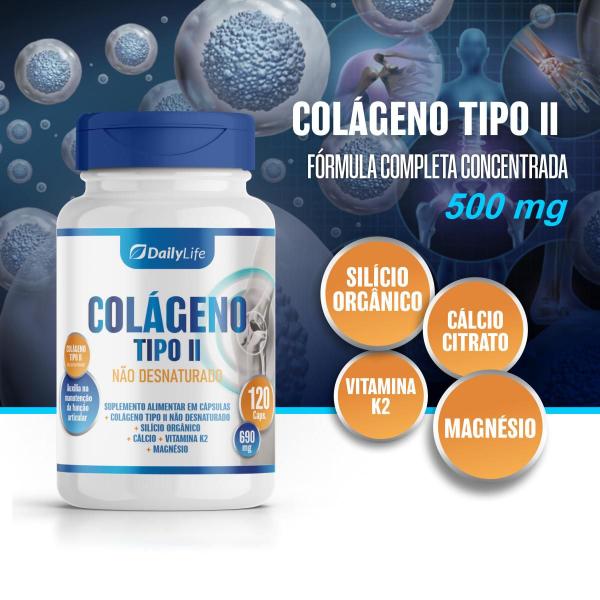 Imagem de Kit 4x Colágeno Tipo 2 Não Desnaturado com Vitamina K2, Cálcio, Magnésio - 120 Cápsulas - Suplemento Alimentar Sem Glúten