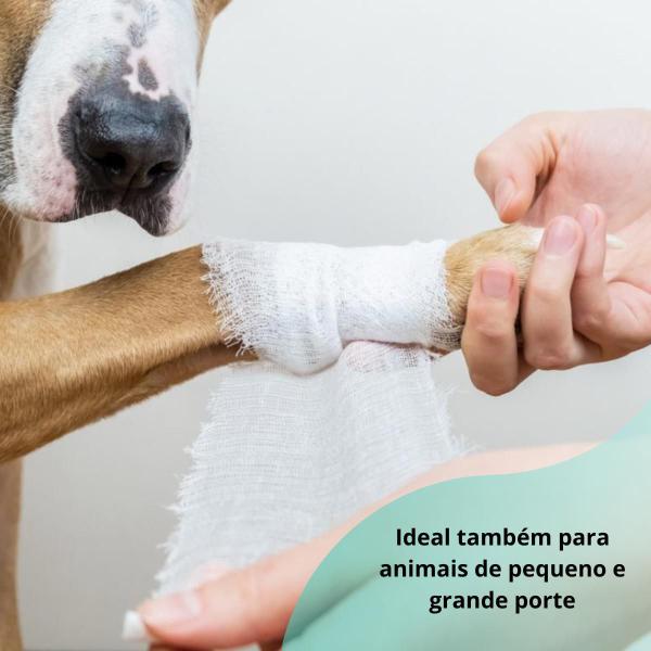 Imagem de Kit 5 Bandagens Elástica 10cm x 2mt - Vetcare