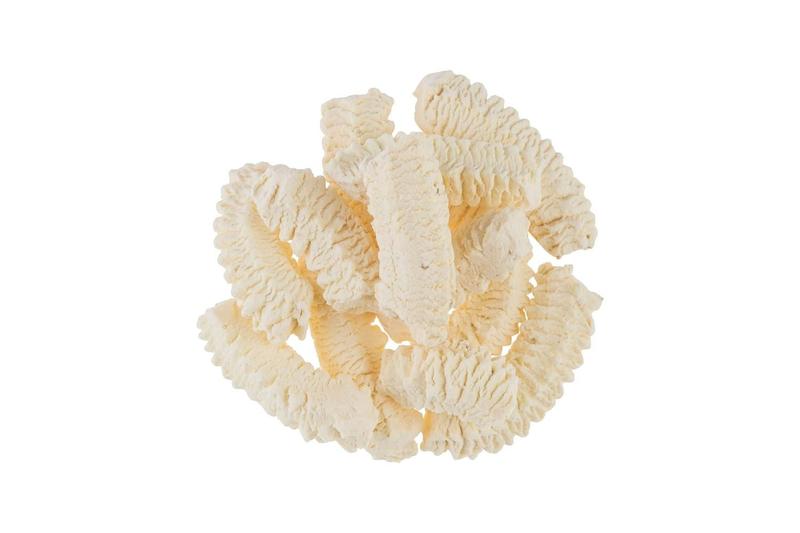 Kit 5 Biscoito Maisena com Raspa de Limão Fruta Natural - KEBIS BISCOITOS CASEIROS Imagem de Kit 5 Biscoito Maisena com Raspa de Limão Fruta Natural
