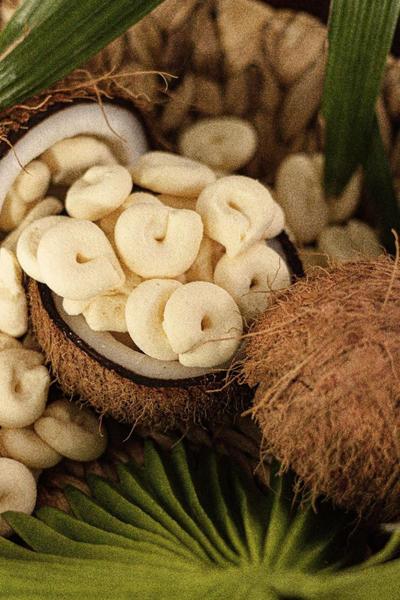 Kit 5 Biscoito Polvilho com Leite de Coco Fruta Natural - KEBIS BISCOITOS CASEIROS Imagem de Kit 5 Biscoito Polvilho com Leite de Coco Fruta Natural
