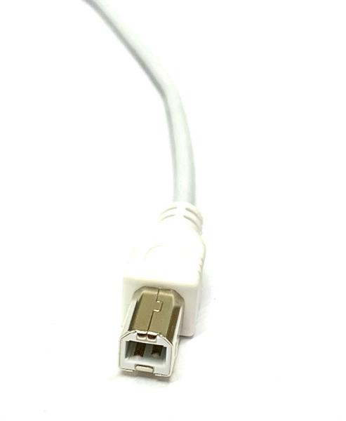 Kit 5 Cabo Usb Tipo C Para Usb B Macho Impressora, Scanner, Piano, Copiadora fax Nfe Atacado - LOTUS Imagem de Kit 5 Cabo Usb Tipo C Para Usb B Macho Impressora, Scanner, Piano, Copiadora fax Nfe Atacado