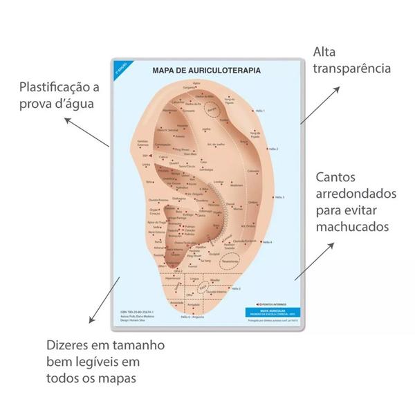 Kit 5 Cartelas Pontos auriculares Ouro - Total 350 Pontos - GoLdLife Imagem de Kit 5 Cartelas Pontos auriculares Ouro - Total 350 Pontos