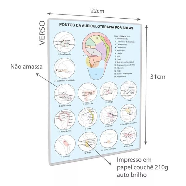 Imagem de Kit 5 Cartelas Pontos auriculares Semente - Total 350 Pontos