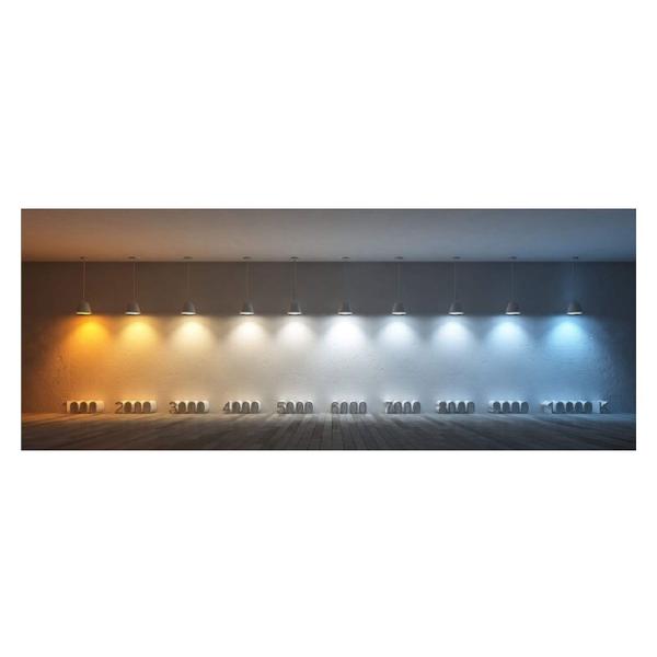 Imagem de Kit 5 Lampadas Led Bulbo 9w Bivolt Branca Fria 6500k Ourolux