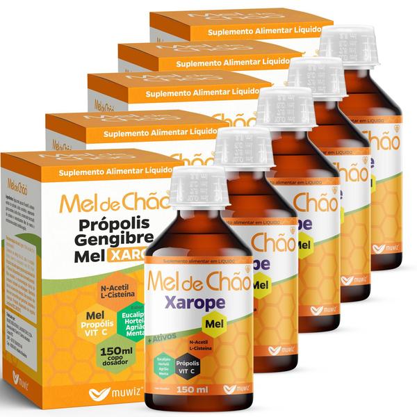 Imagem de Kit 5 Mel De Chão Propolis Gengibre E Mel 60Ml - Muwiz