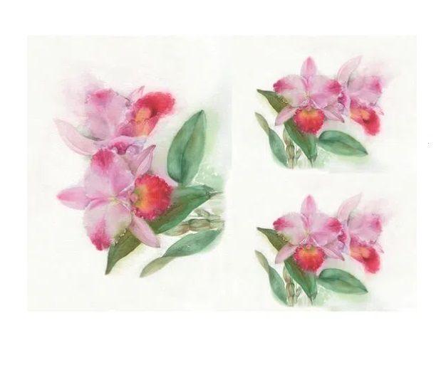 Imagem de Kit 5 Papel Decoupage Opapel 30x45cm 2379 Flor Orquidea Opa