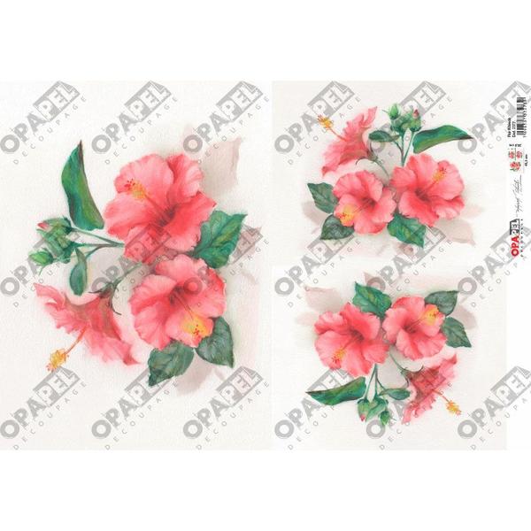 Imagem de Kit 5 Papel Decoupage Opapel 30x45cm Flor Hibisco 2377 Opa