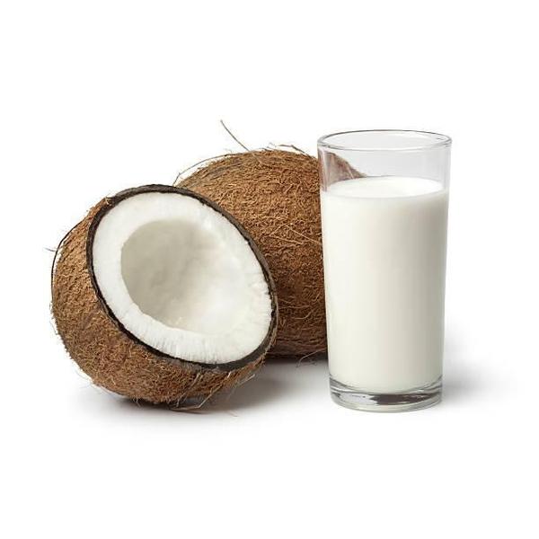 Kit 5 Uni Leite De Coco Dubom 500Ml - Armazém Real Imagem de Kit 5 Uni Leite De Coco Dubom 500Ml