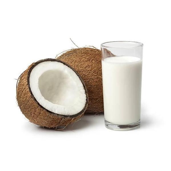 Kit 5 Uni Leite De Coco Dubom 500Ml - Armazém Real Imagem de Kit 5 Uni Leite De Coco Dubom 500Ml