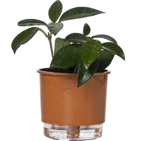 Imagem de Kit 5 Vaso Raiz Auto Irrigável 12x11cm N2 Autoirrigável Pequeno Plantas Flores