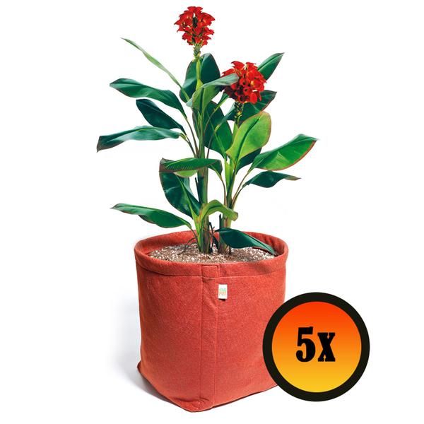 Imagem de Kit 5 Vasos De Plantas De Feltro 20 Litros - King Pot