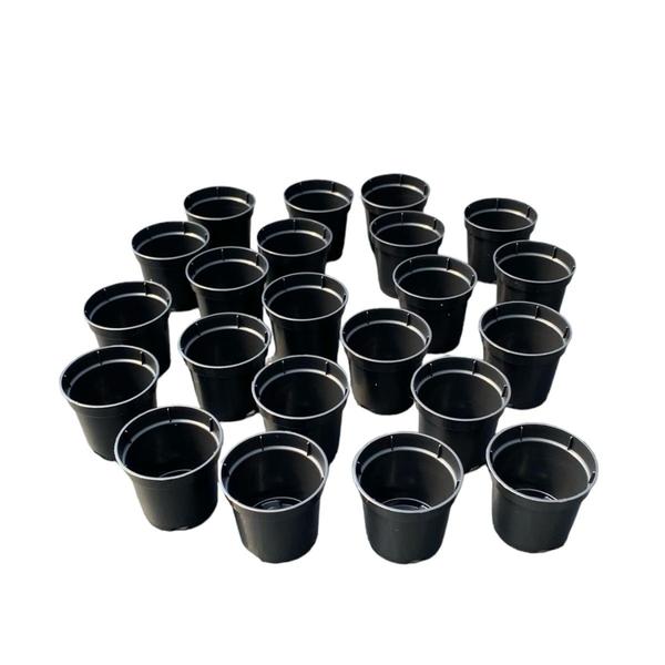 Imagem de Kit 50 Vasos Pote 06 para cactos suculentas cultivo lembrancinha