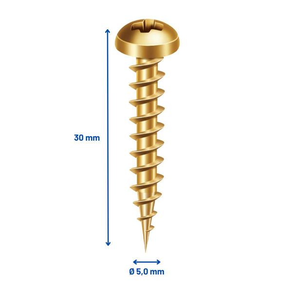 Imagem de Kit 500 Parafusos Panela Phillips 5,0 X 30 Bicromatizado