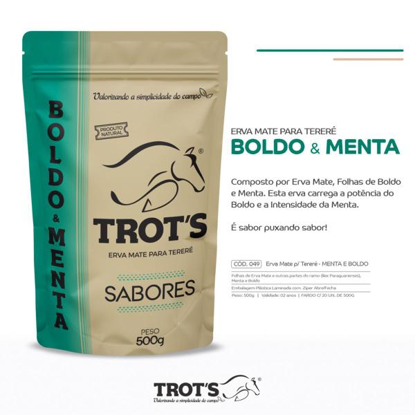 Imagem de Kit 5x Erva Mate Tereré Trot's Premium 500g Menta E Boldo