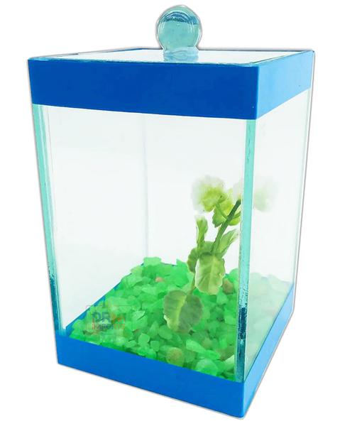 Imagem de Kit 6 Beteiras Aquários Decorados Pedra Flor 10x10x15 Betta