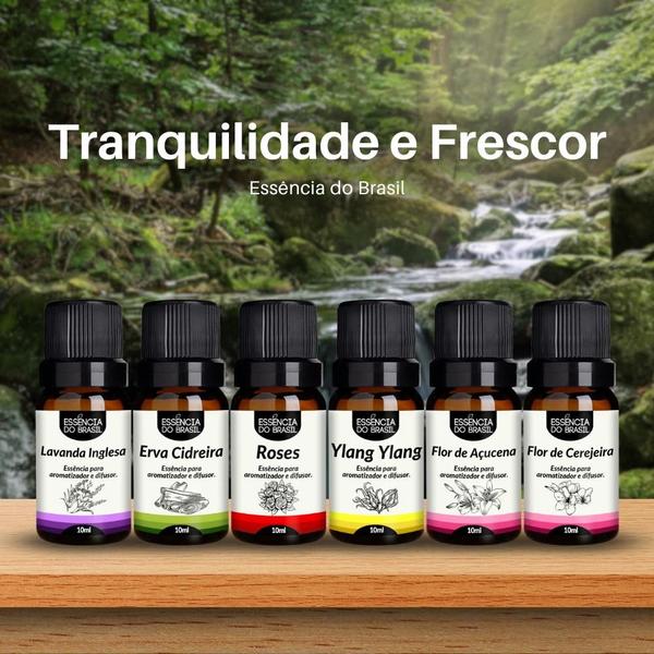 Imagem de Kit 6 Essências Premium 10ml - Tranquilidade e Frescor