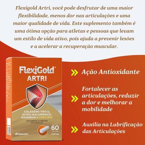 Imagem de Kit 6 Flexigold Artri 60 Capsulas. Herbamed