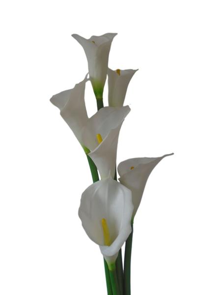 Imagem de Kit 6 flores artificiais copo de leite branco