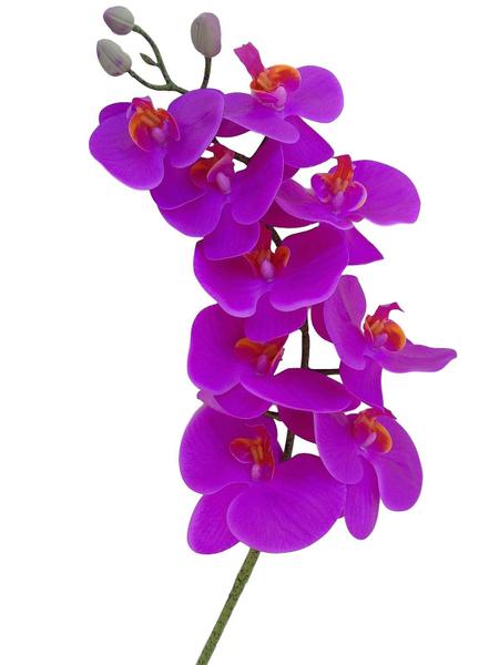 Imagem de Kit 6 hastes de orquídeas Pink em silicone 3D