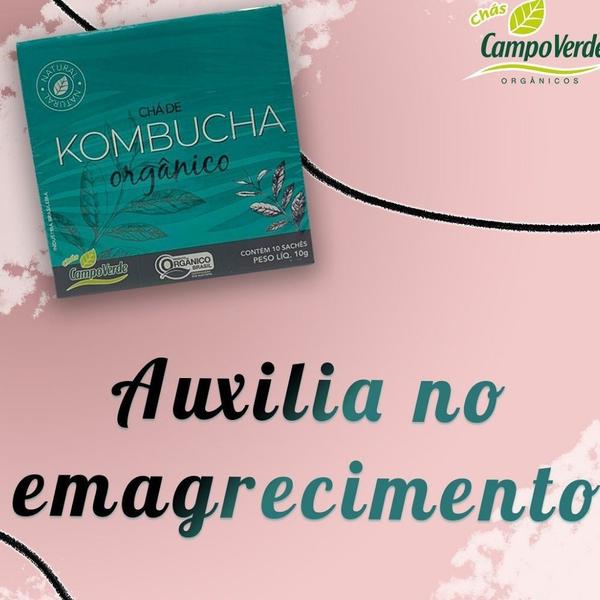Imagem de Kit 6 Kombucha Chá Orgânico das Folhas Campo Verde 10 sachês