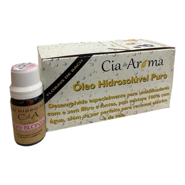 Imagem de Kit 6 Óleo Hidrossolúvel Cherry Blonsson Umidificadores 10Ml