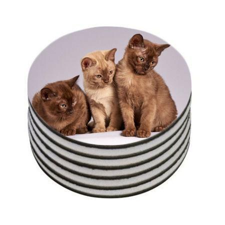 Imagem de Kit 6 Porta Copos Personalizados Gatinho Persa Siamês Raças Redondo