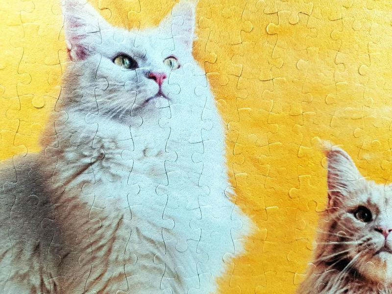 Imagem de Kit 6 Quebra-Cabeças Cognitivos - Gatos 40 Peças