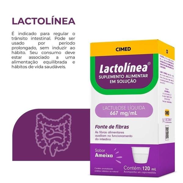 Imagem de Kit 6 Regulador Intestinal Lactolinea Sabor Ameixa 120ml