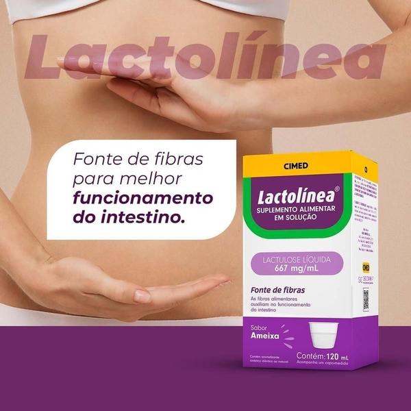 Imagem de Kit 6 Regulador Intestinal Lactolinea Sabor Ameixa 120ml