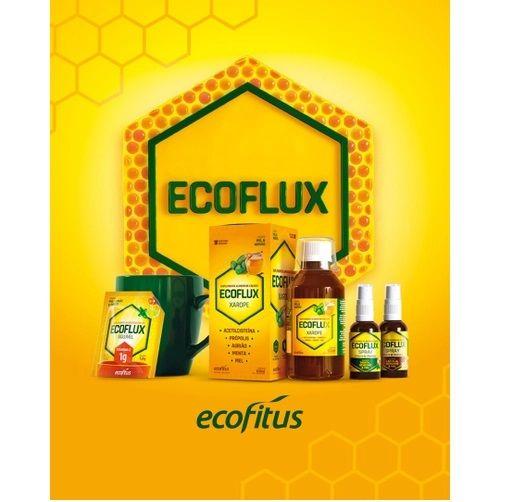 Imagem de Kit 6 Suplemento Ecoflux Kids 120ml Sabor Framboesa - Ecofitus