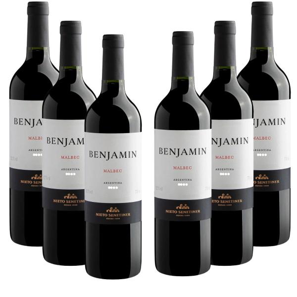 Imagem de Kit 6 Vinhos Benjamim Nieto Senetiner Malbec Argentino 750ml