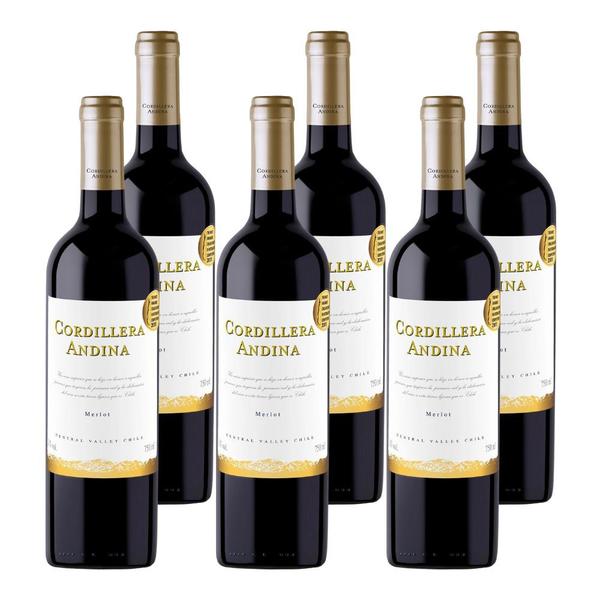 Imagem de Kit 6 Vinhos Cordillera Andina Merlot Tinto Chile 750ml