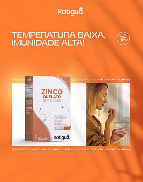 Imagem de Kit 6 Zinco Quelato Dose Máxima 60 Cápsulas - Katigua